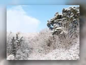 Foto: Natur, Winter 1