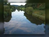 Foto: Natur, Sommer 2